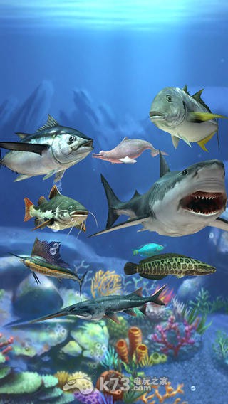 钓鱼发烧友电脑版下载