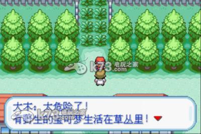 口袋妖怪火红中文版,口袋妖怪火红汉化版