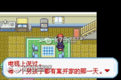 口袋妖怪叶绿中文版,口袋妖怪叶绿汉化版