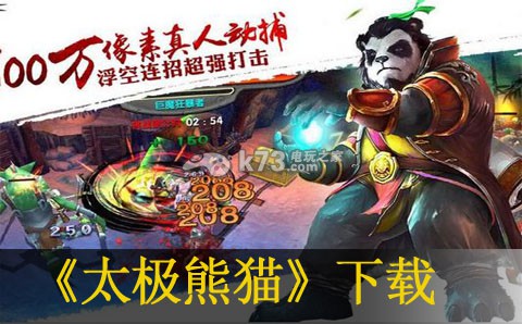 太极熊猫下载