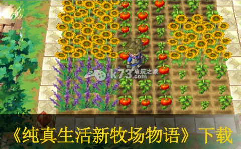 新牧场物语纯真生活 中文版下载