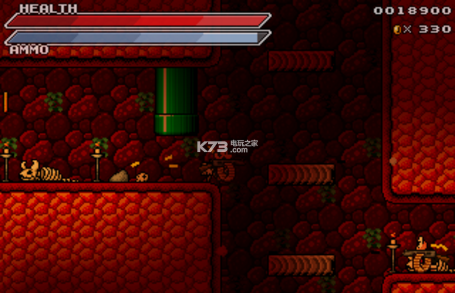 超级马里奥兄弟ztar风暴 汉化版下载