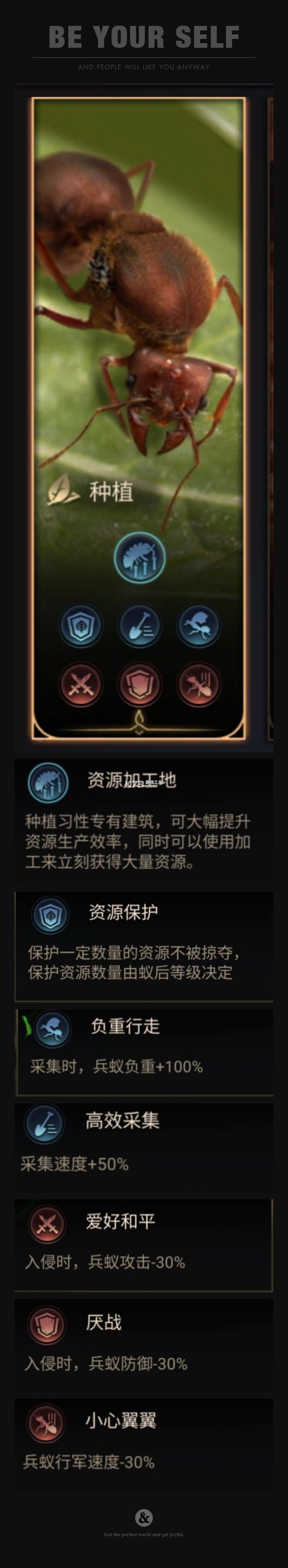 小小蚁国 v1.90.0 落潮海岸版本 小小蚁国 v1.90.0 落潮海岸版本