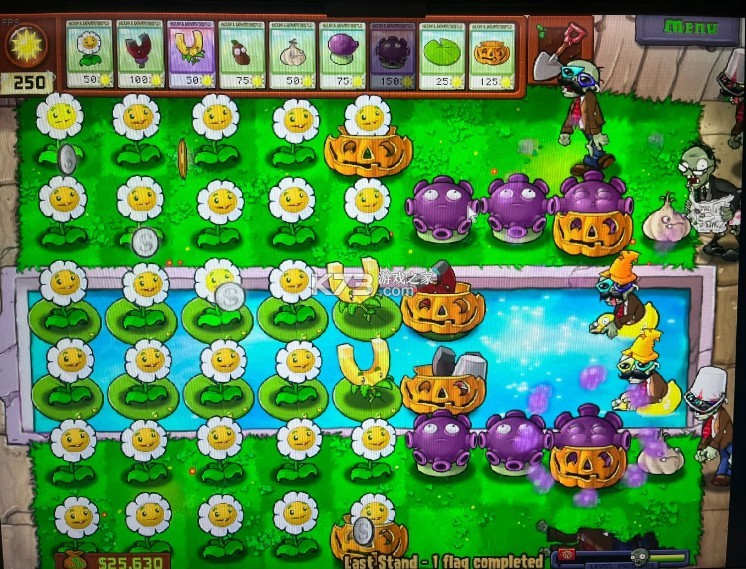 植物大战僵尸 v3.8.1 最新破解版下载2025 植物大战僵尸 v3.8.1 最新破解版下载2025