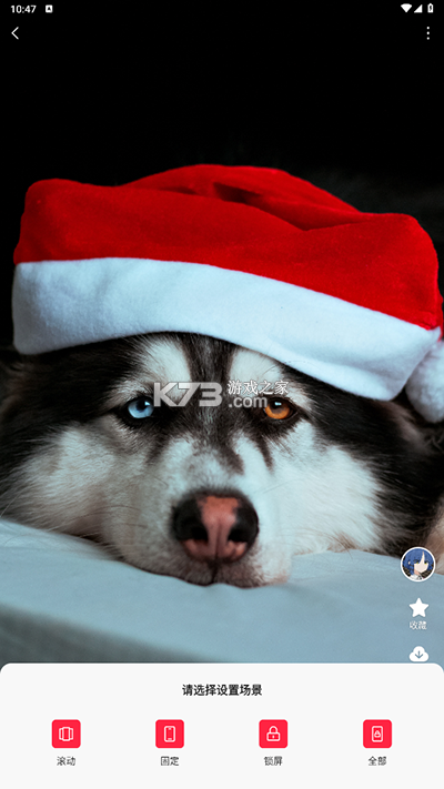 汽水壁纸 v1.4.7 app下载官方免费版