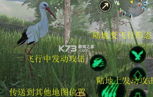 丹顶鹤模拟器 v1.1.5 游戏下载 丹顶鹤模拟器 v1.1.5 游戏下载