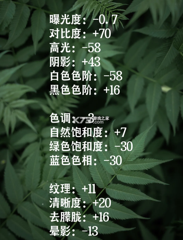 lightroom v10.3.1 官方正版app下载2025