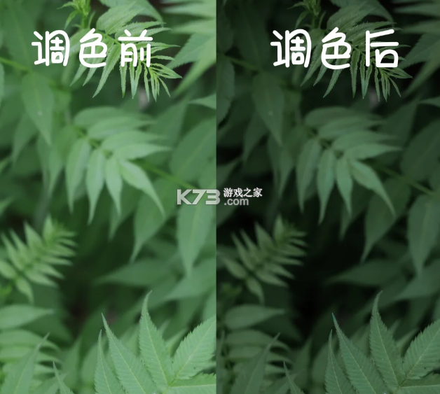 lightroom v10.3.1 官方正版app下载2025