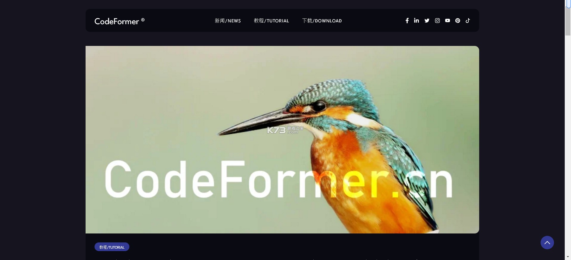 codeformer v1.10 手机版下载 codeformer v1.10 手机版下载