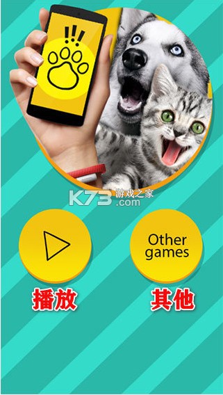 pet translator v1.1 软件下载
