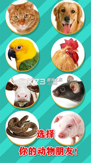 pet translator v1.1 软件下载