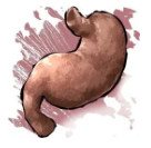 方舟生存进化 v2.0.29 手机版内购破解版下载