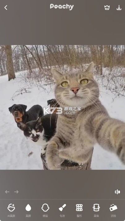 Peachy v1.120.35 app官方版 Peachy v1.120.35 app官方版