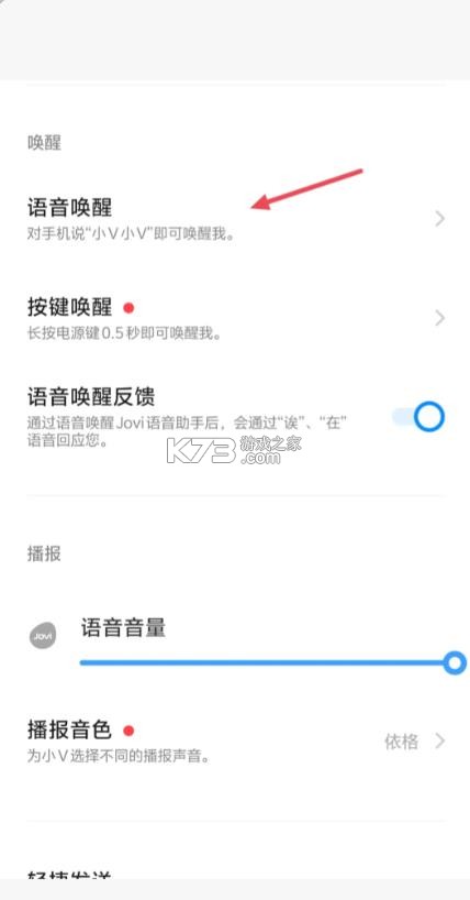 蓝心小v v5.2.5.0 官方下载
