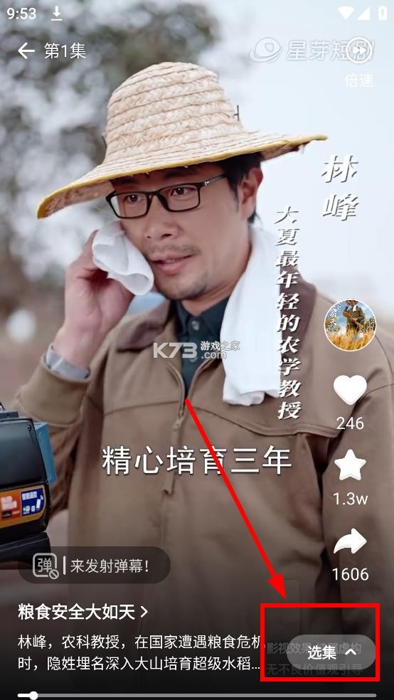 星芽免费短剧 v3.8.4.1 破解版